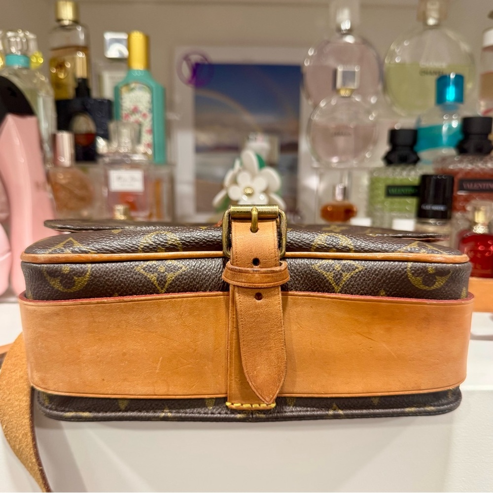 Louis Vuitton Monogram Cartouchiere Canvas MM - Picture 6 of 14